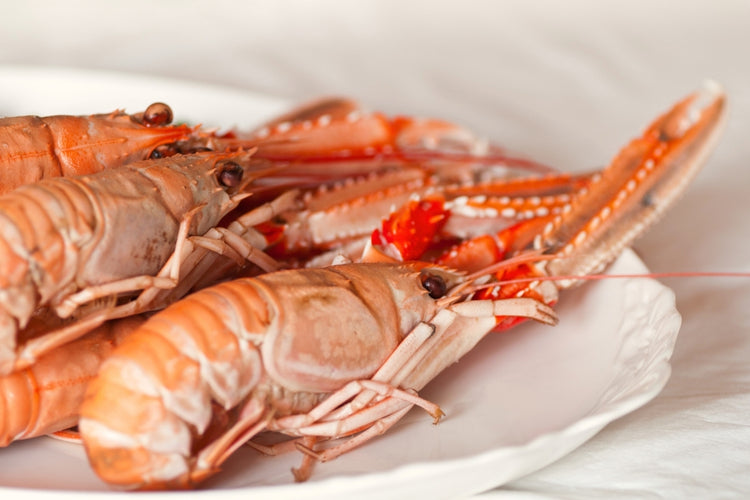 Crustaceans