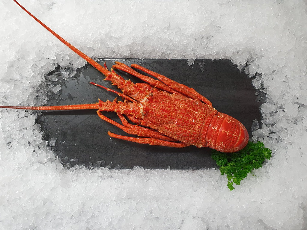 Cooked Crayfish