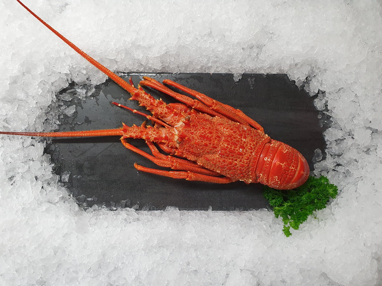 Cooked Crayfish