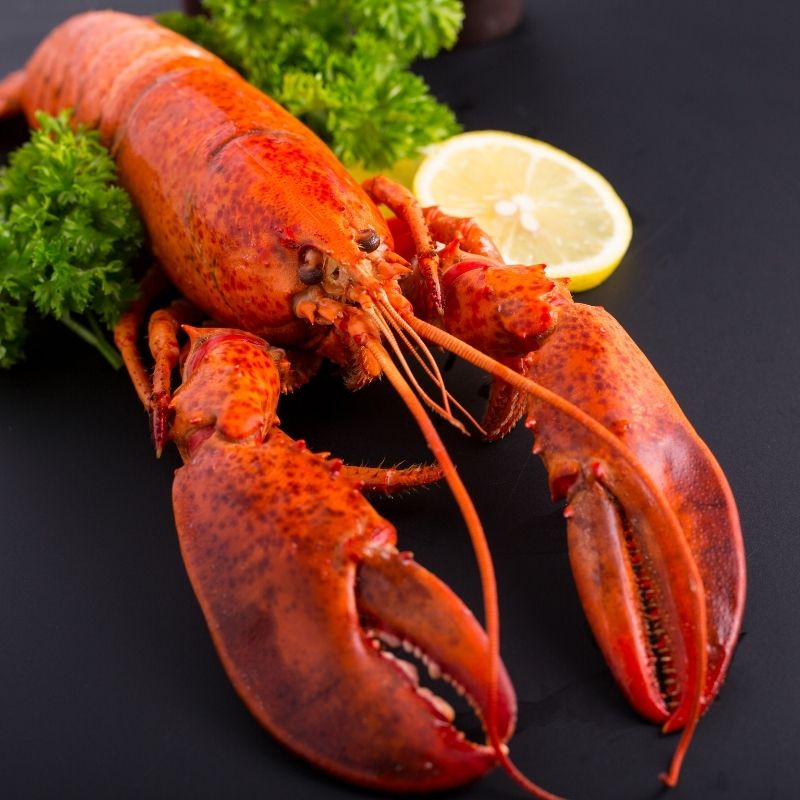 Whole Canadian Lobster
