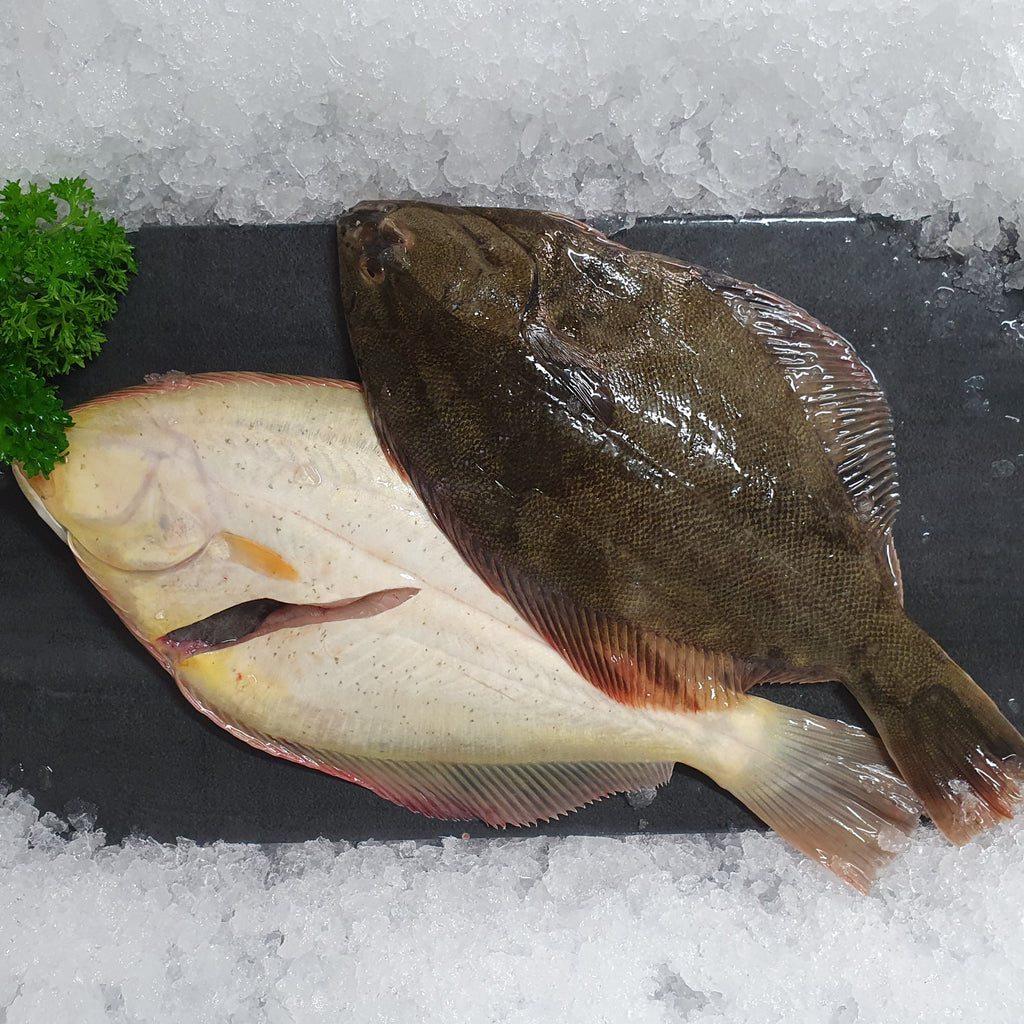 Whole Yellow Belly Flounder