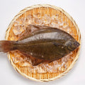 Whole Yellow Belly Flounder