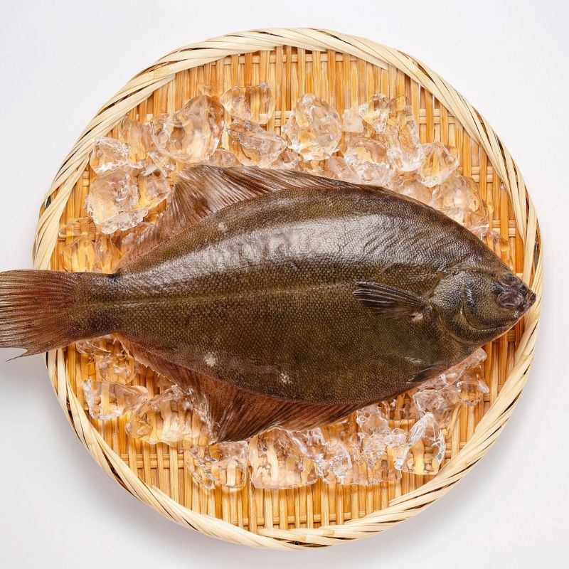 Whole Yellow Belly Flounder