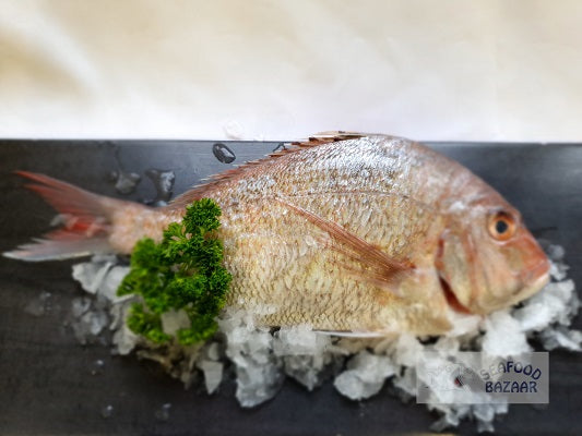 Whole Snapper