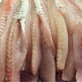 Gurnard Fillets