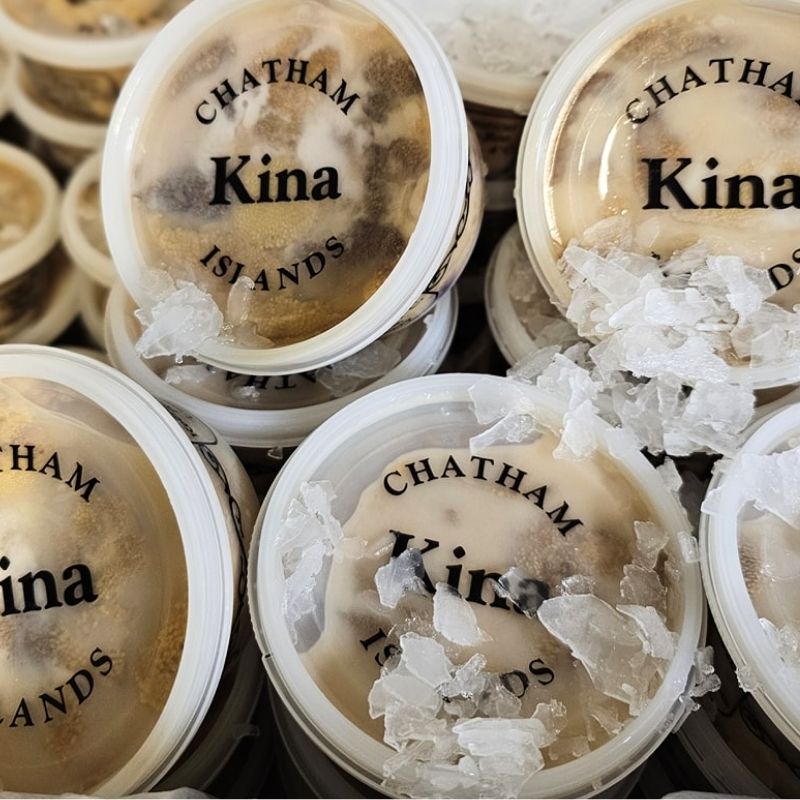 Fresh Kina Pot