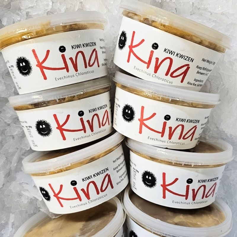 Fresh Kina Pot
