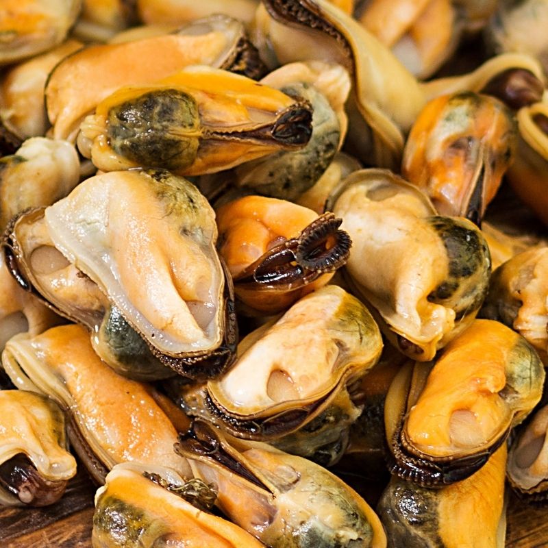 Marinated Mussels- Plain