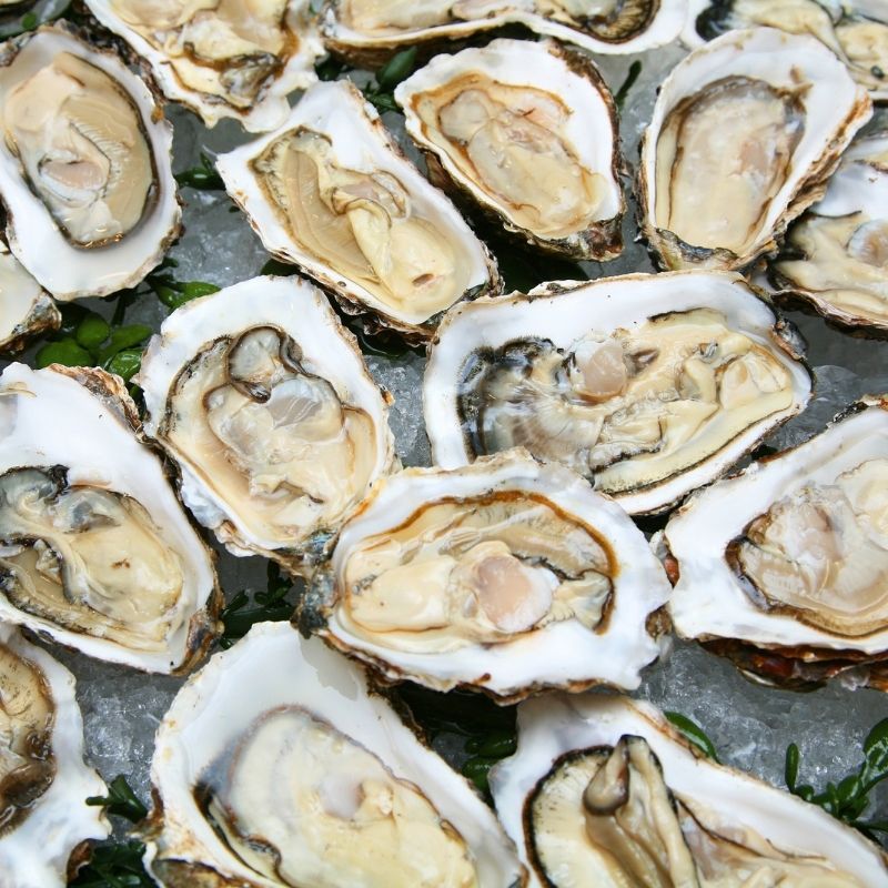 Half Shell Pacific Oysters