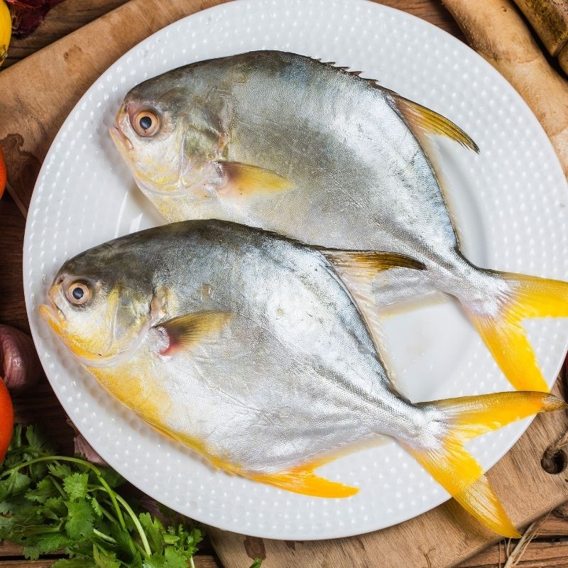 Whole Golden Pompano