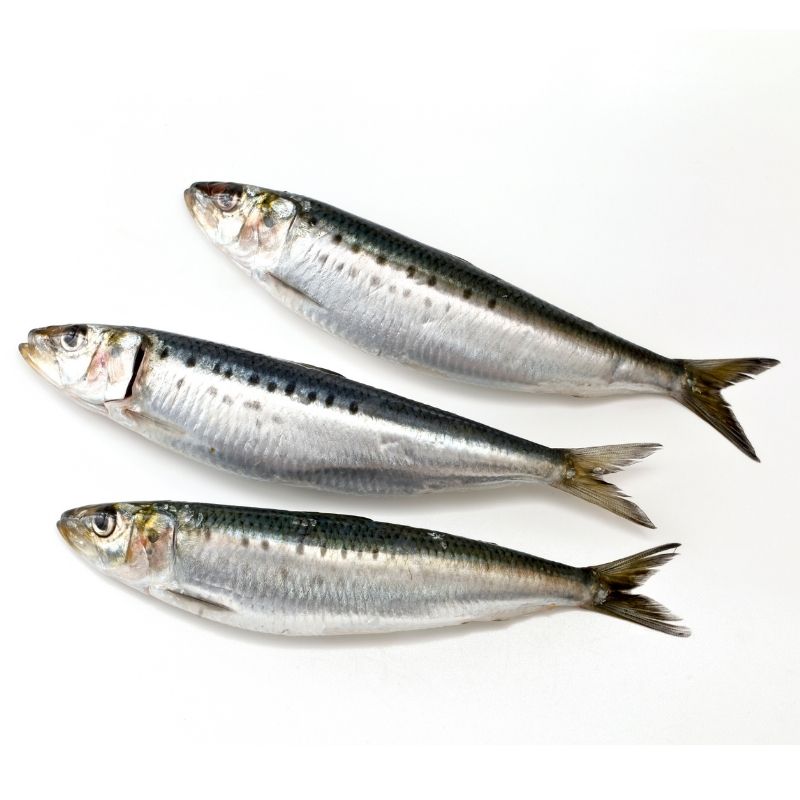 Sardines Whole