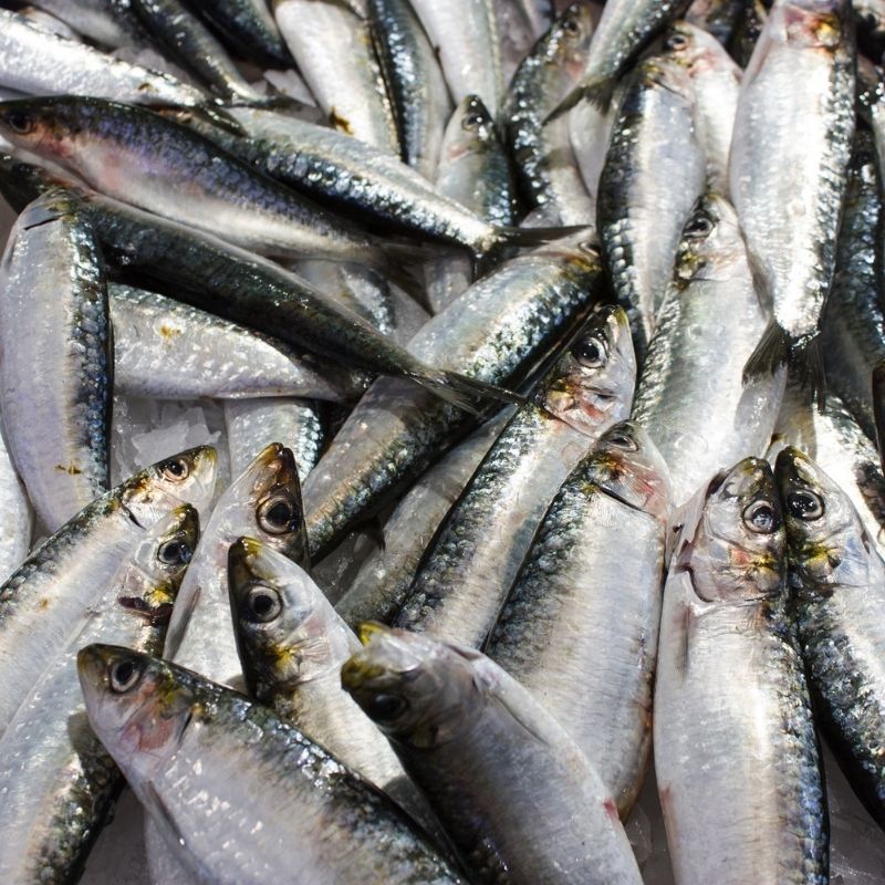Sardines Whole