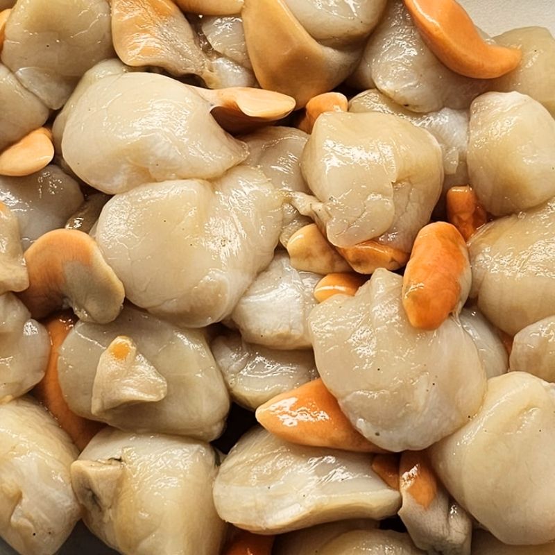 Scallops