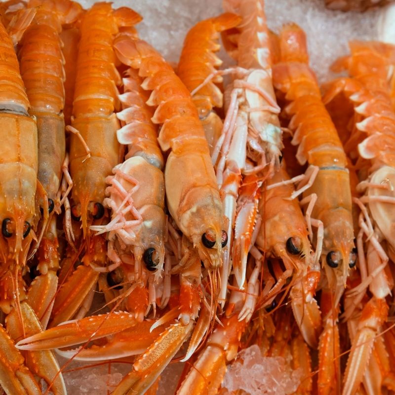 Whole Raw Scampi/Langoustine