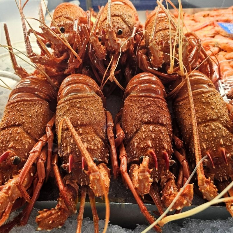 Cooked Crayfish