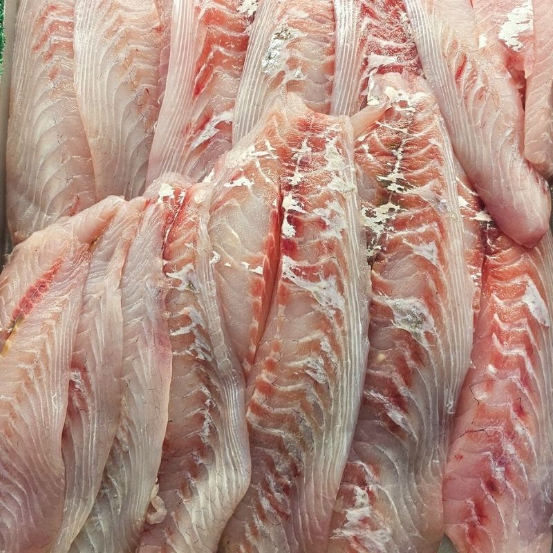 Snapper Fillets