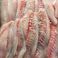 Snapper Fillets