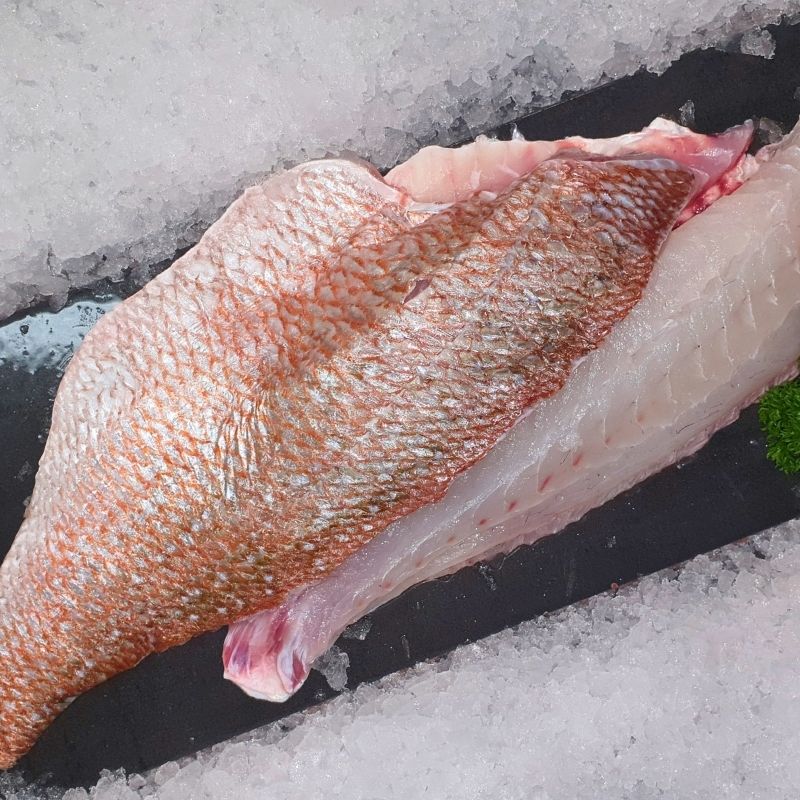 Snapper Fillets