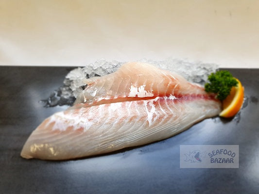 Snapper Fillets