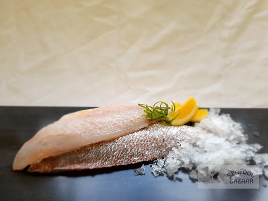 Snapper Fillets