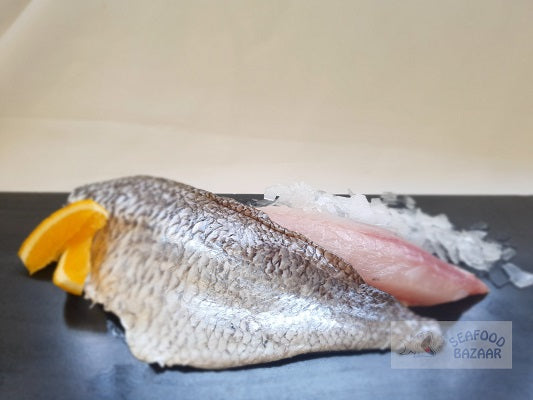 Tarakihi Fillets