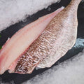 Tarakihi Fillets