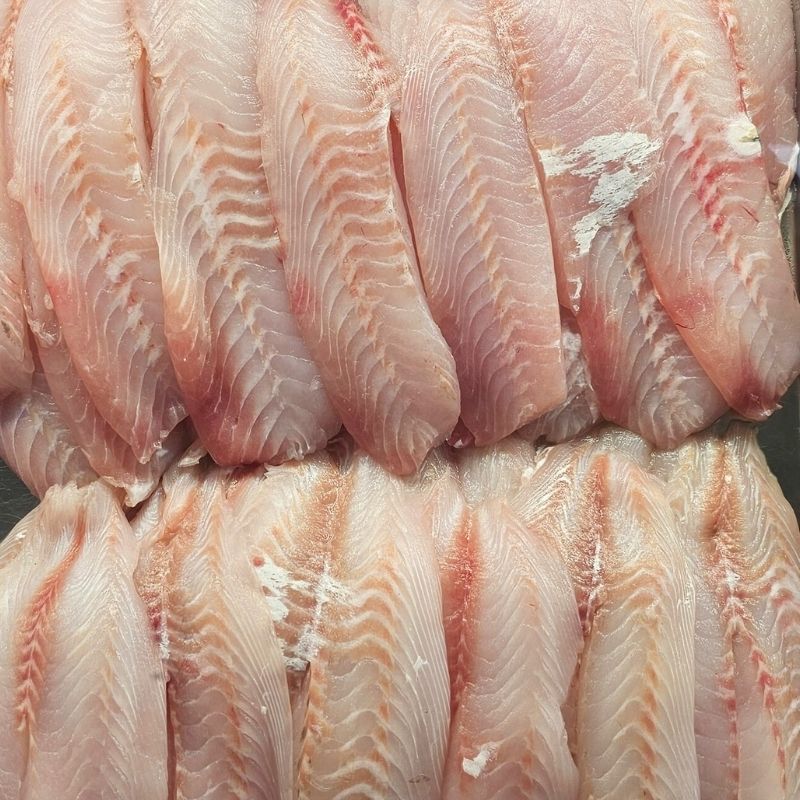 Tarakihi Fillets