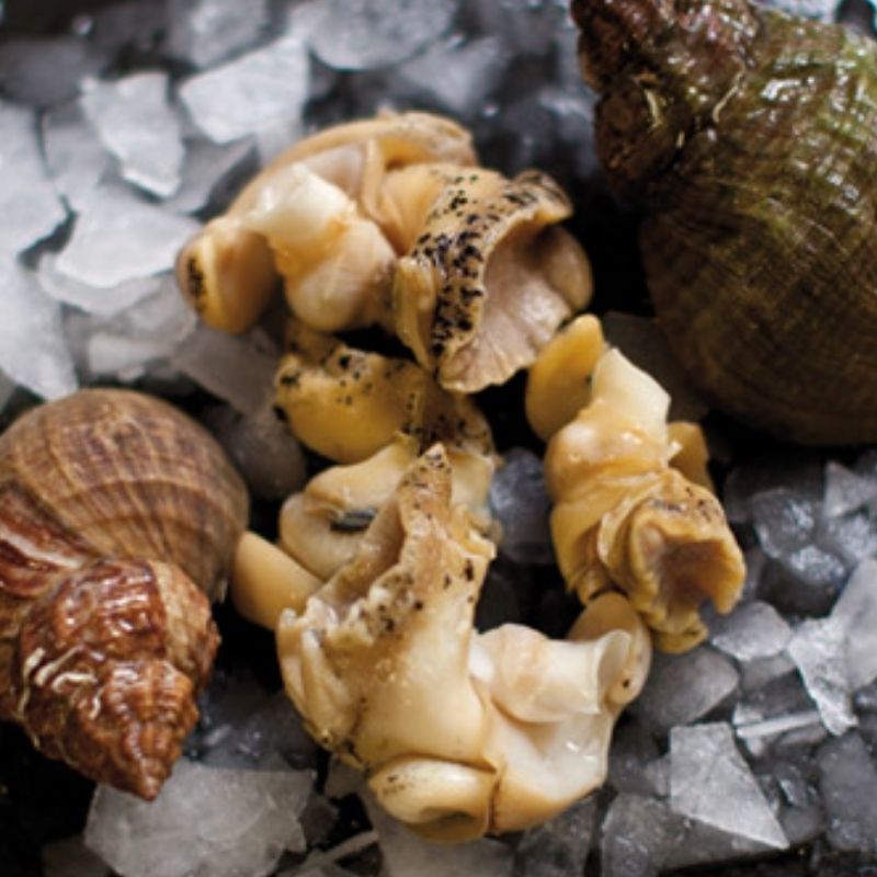 Whelk Meat