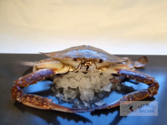 Whole Blue Swimmer Crab