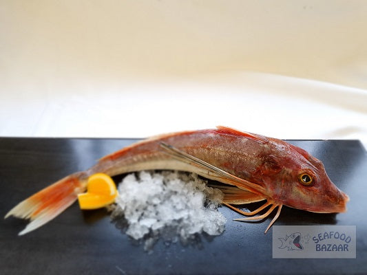 Whole Gurnard
