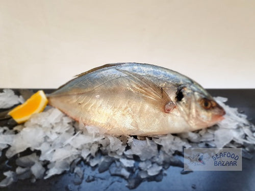 Whole Trevally