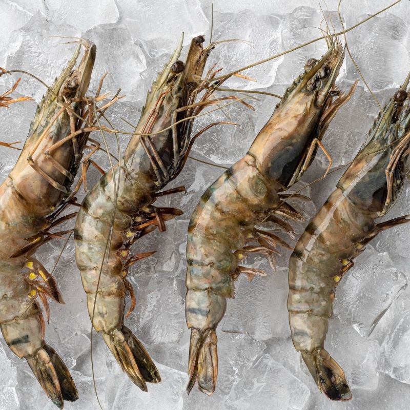 Whole Raw Prawns- Large