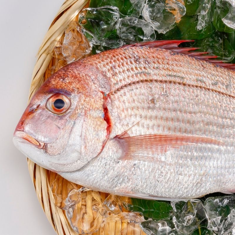 Whole Snapper