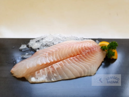 Tarakihi Fillets